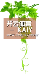 开云体育 - KAIYUN开云体育官方网站 - KAIYUN SPORTS